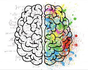 ADHD Brain wiring, CBD for memory and focus
